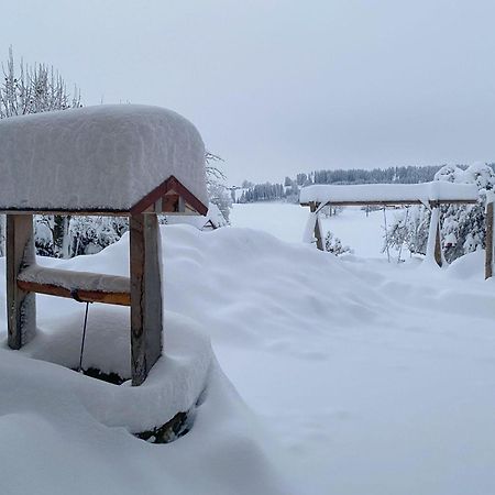 Trollenhof Im Allgaeu - Ferienwohnungen Saeuling Ruckholz Εξωτερικό φωτογραφία